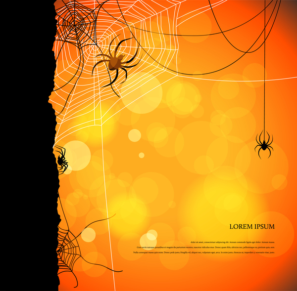 spider with night background vector  