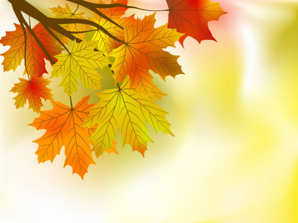 Fall of Maple Leaf elements background vector 01  