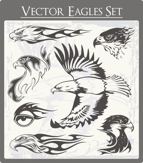 Eagle free vector 01  