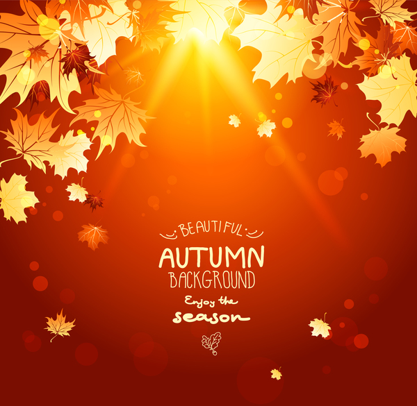 太陽の背景ベクトル02と秋のlaeves  