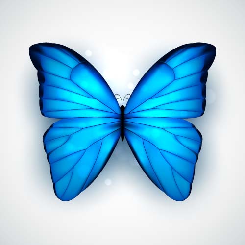 Beautiful butterflies design material vector 02  