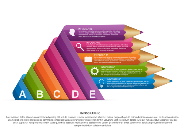 Colored pencil with business infographic vector 12  