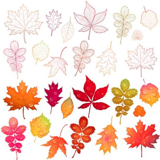 Coloré automne feuilles vecteurs 03  