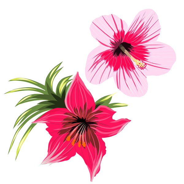 Red with pink tropical flowers vector 01  