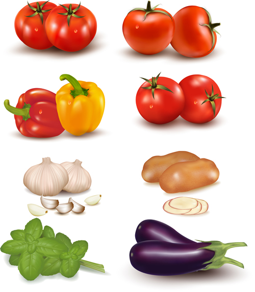 Vivid Vegetables design vector 01  