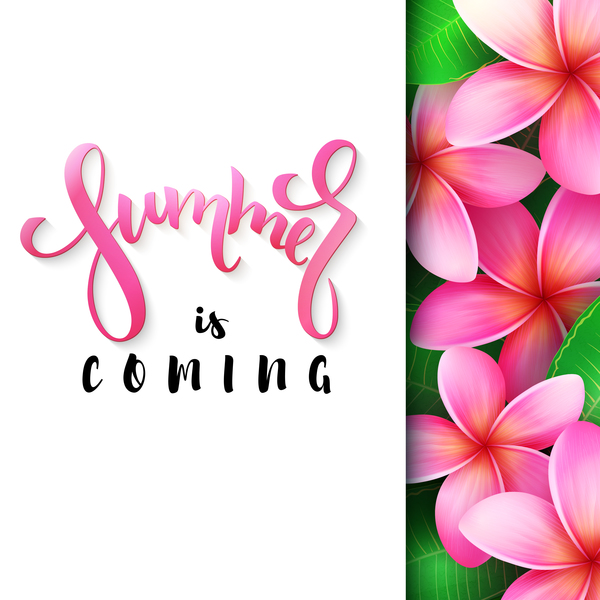 tropical pink flower with summer background vector 02  