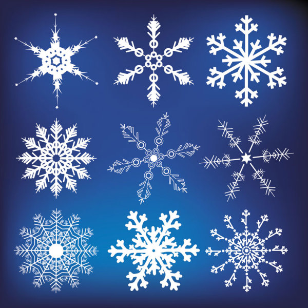 Different Snowflake pattern mix vector graphics 03  