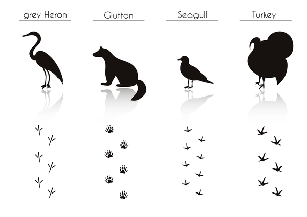Animals with footprint silhouette vector material 09  