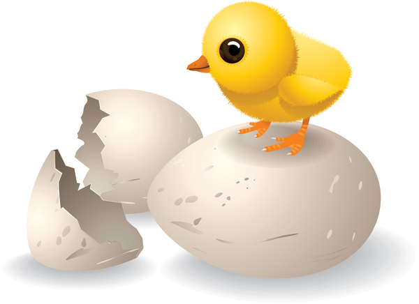 壊れた卵と鶏漫画ベクトル 03  