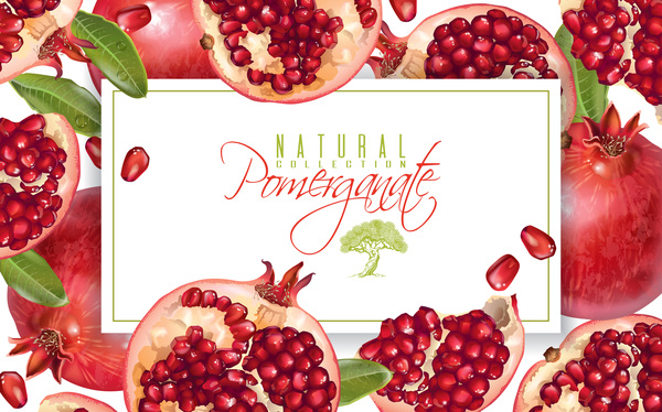 Fresh pomegranate background design vectors 01  
