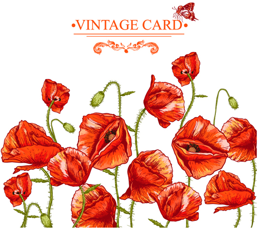 Hand drawing poppies vintage card vector  