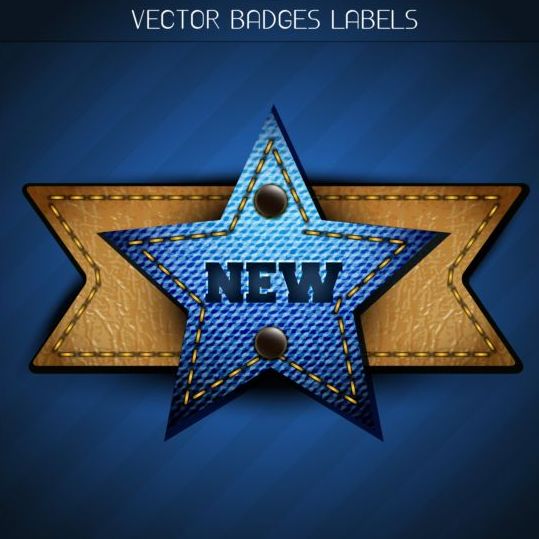 Etichetta in jeans e badge in pelle Vector 05  