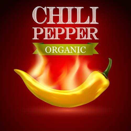 Organic chili pepper poster vector 03  