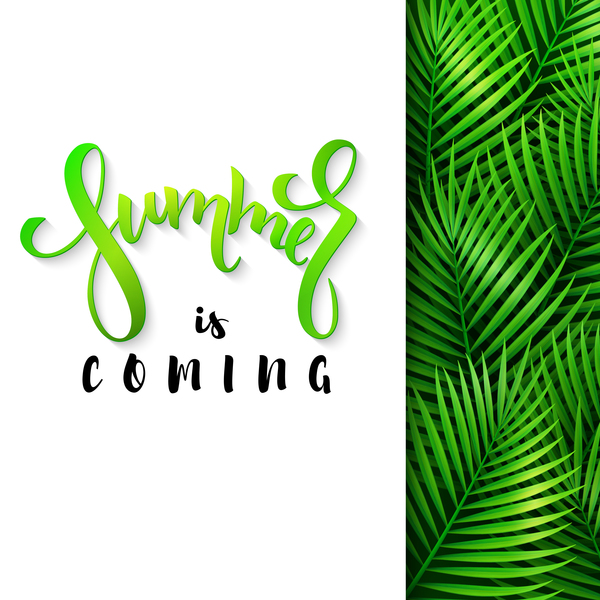 Summer background with palm leaves vector  