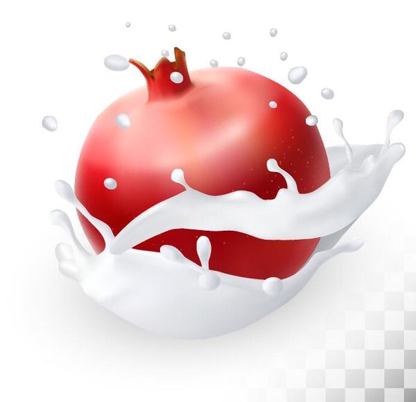 pomegranate with splash milk vector  