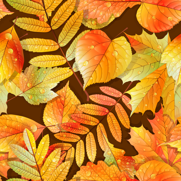 Belles feuilles d'automne avec l'eau drop vecteurs de modèle sans couture 03  