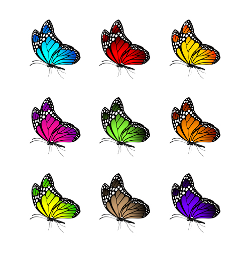 Beautiful butterflies vector icons set 01  