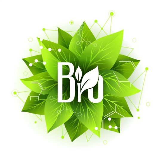 Bio label badge met groene bladeren vector 01  