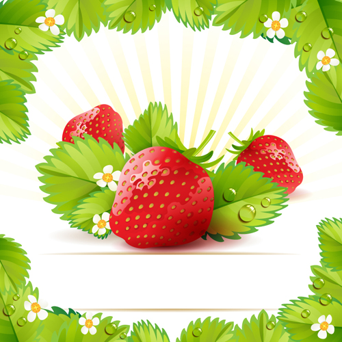 Fresh Strawberry vector 03  