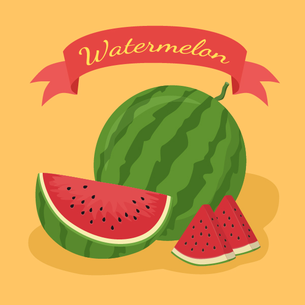 Frisches Wassermelonenvektormaterial 04  