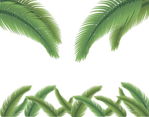 Green palm leaves backgrounds vector 08  