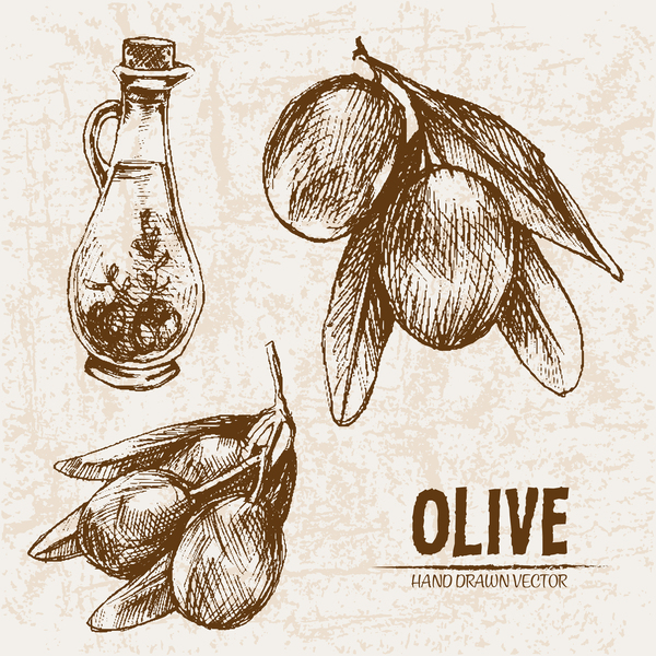 Olivgrüne Hand gezeichnete Vektoren Design Set 06  