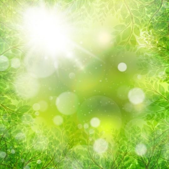 太陽の光を背景にした夏の緑の葉ベクトル10  