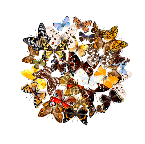 Vintage butterflies art background vector 04  