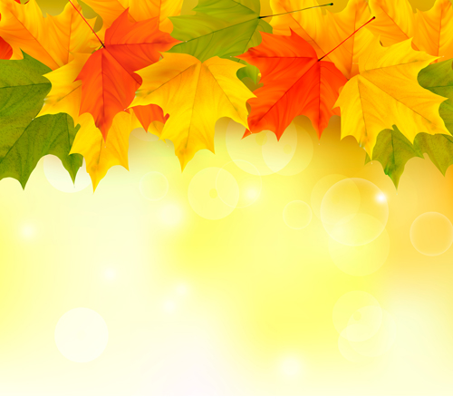 Shiny autumn vector background art 03  