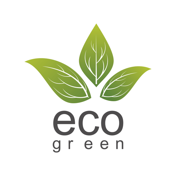 eco green leaf logo vector  