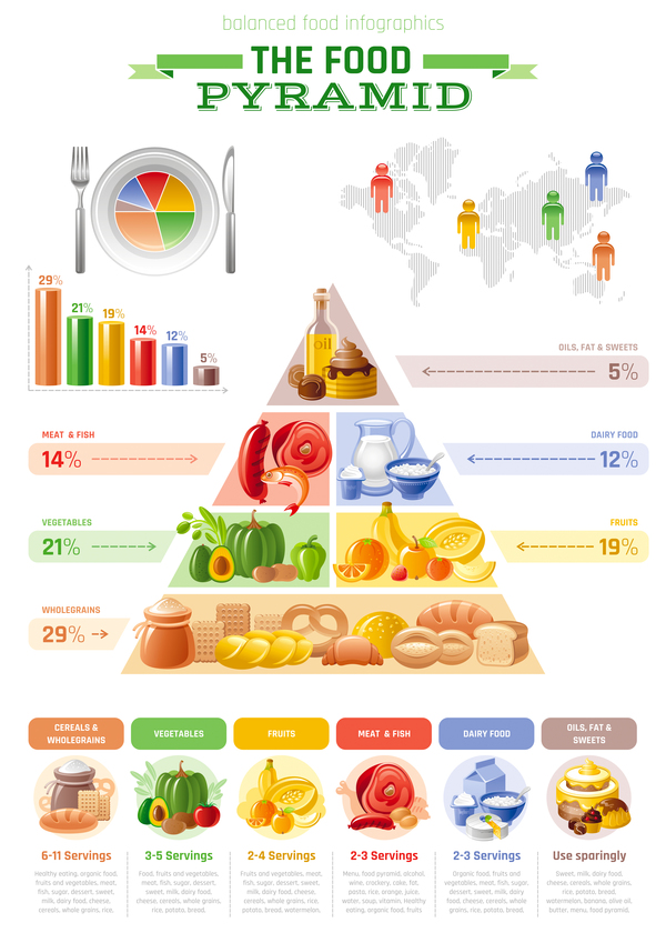 Balanced food pyramid infographics template vector 01  