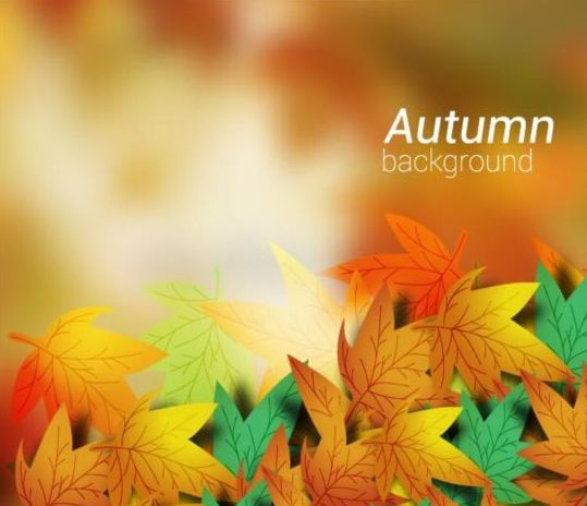 Farbige Herbstblätter mit verschwommenem Hintergrundvektor 06  