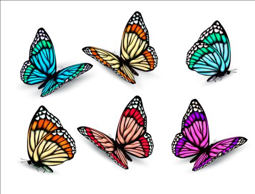 Colorful butterflies illustration vector collection 08  