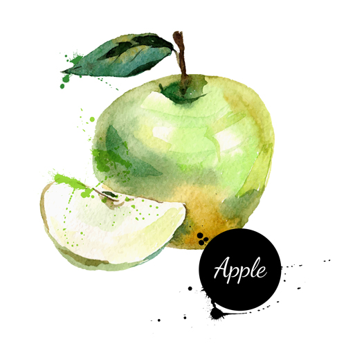 Hand drawn apple watercolor vector  