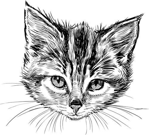 Hand drawn cats head vector set 05  