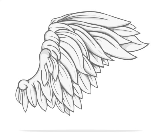 Hand drawn wing illustration vector 02  