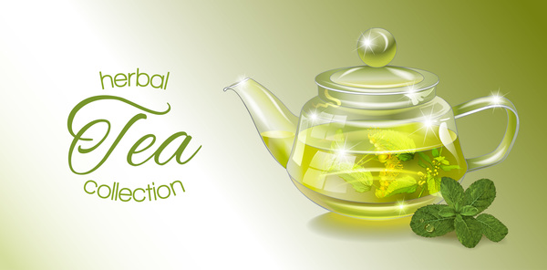 Herbal tea vector  