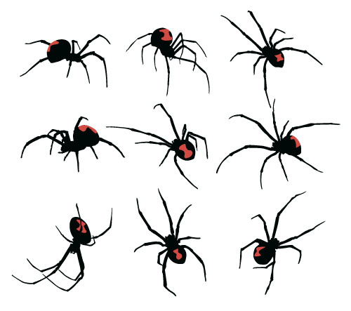 Realistic spider vector material 01  