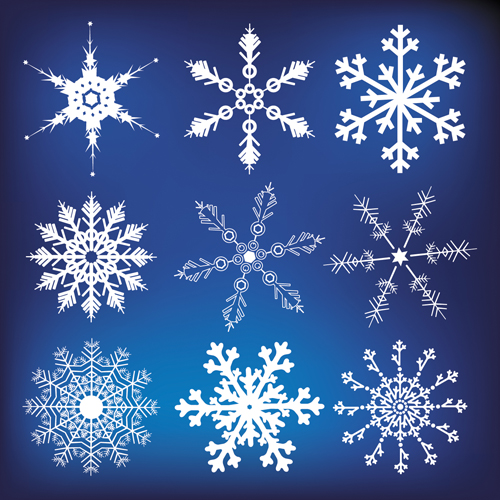 Different Snowflakes mix design vector material 03  