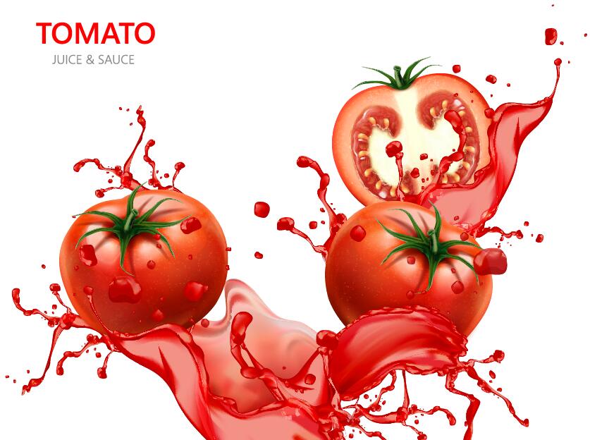 Jus de tomate avec design vectoriel de fond blanc 03  