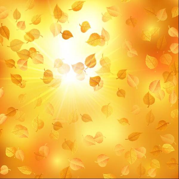Herbstlaub mit Sonnenlichthintergrundvektor  