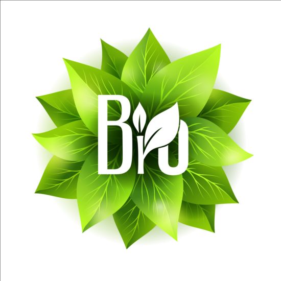 Bio green leaves vector material 02  