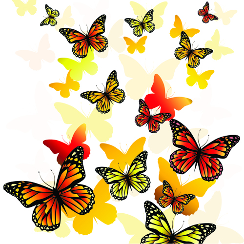 Colorful Butterflies design vector 04  
