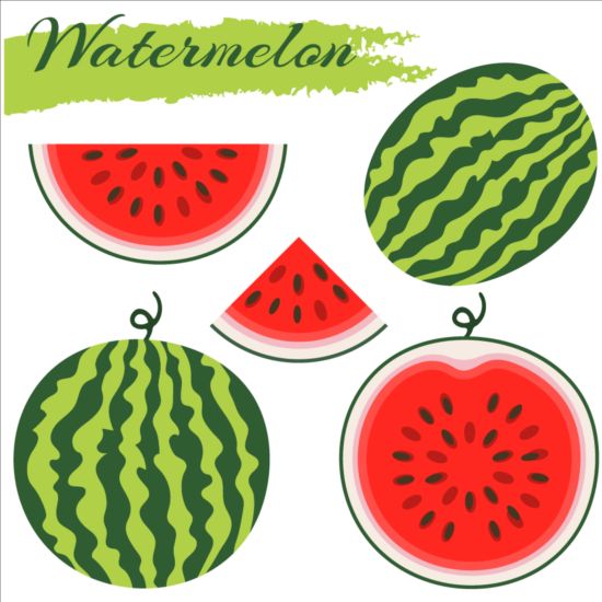 Frisches Wassermelon Vektormaterial 03  