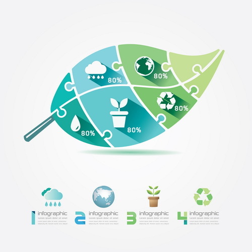 Leaf Eco business infographic vector  