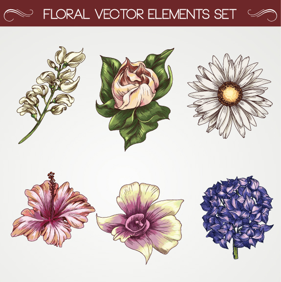 Set of Vintage flowers vector 01  