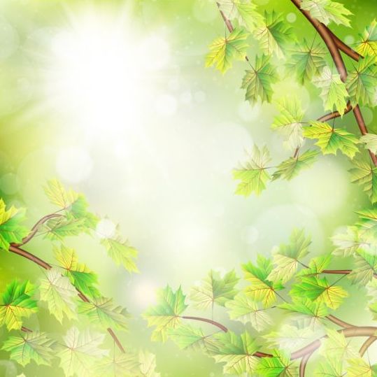 Summer green leaves with sunlight background vector 09  