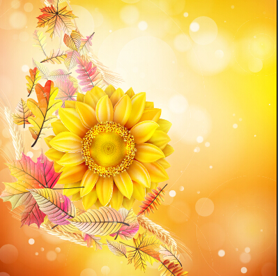Beautiful sunflowers golden background set vector 01  