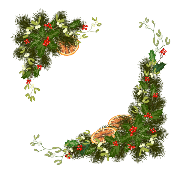 Christmas pine branches with holly ornaments vector illustration 07  
