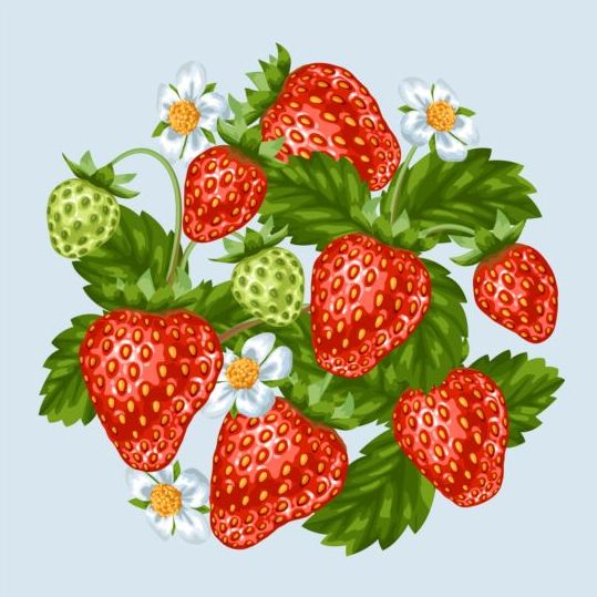 Frische Erdbeeren Hintergrunddesign Vektoren 04  